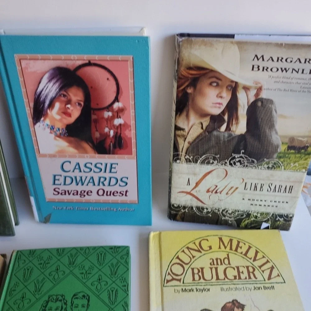 LITTLE HOUSE IN THE BIG WOODS Laura Ingalls Wilder Homeschool Lot 13 Bobbsy Twin